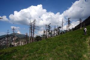 5月14-17日秦岭峰景线4天重装穿越特价 400元