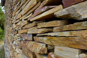 2020.04.21（周二）探秘即将消失的古村落鞑子梁, 洛南郁金香花海休闲一日游75元