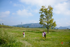 6月27日（免票）：照金牧场+丹霞薛家寨 户外一日游 79元 