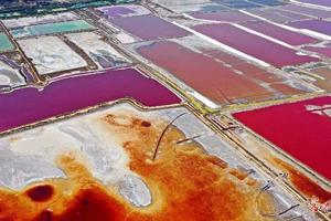 11月15日（周日）中国死海:运城盐湖·池神庙一日游128元含死海通票