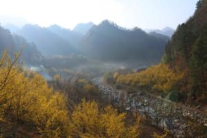 3.12（周六）金色花海 佛坪老街+山茱萸花 行摄1日89元