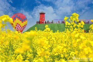 4月11日 武功油菜花 姜嫄水乡古镇  休闲行摄 1日游68元