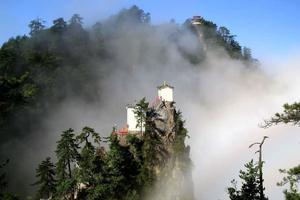 5月8日【母亲节 女士免门票】镇安塔云山.玻璃栈道特惠一日游98元