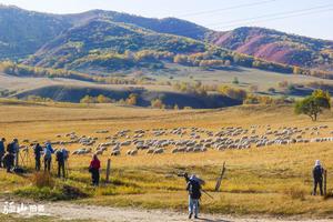【每年经典】 9月20-28日金秋坝上草原+应县木塔+云岗石窟+恒山悬空寺+避暑山庄+金山岭长城 唯美线路9日游