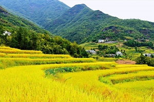 9月22日观崩云峡谷瀑布飞流直下，赏水泉坪村稻花香一日游