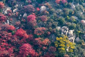 10月30日自驾骊山探寻骊山最美红叶 走最美山村西岳村 赏穆柯寨醉美杨树林