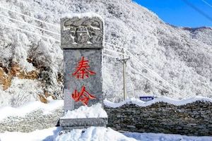 【秦岭小火车】1.21（周日） 雪国列车 童话世界岭南公园 一站直达（118元）周末预报有雪，要去的抓紧报名