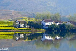 3.10-12魅力巴中 红色川北赏油菜花：朱德故里 琳琅山 南龛石窟 恩阳古镇 阆中 红军渡 昭化古城三日游360元