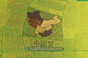 3月19日观崩云峡谷瀑布飞流直下，赏水泉坪村油菜花海一日游98元