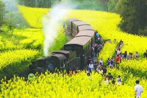 3月1-6日：嘉阳小火车+大渡河峡谷+兴文石海+乐山大佛+蜀南竹海+美味成都 户外六日游 750元 