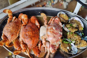 10月24-11月8日海南岛+海陵岛+湖南大环游 户外16天 