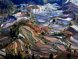 12.5-26【全景云南】西双版纳+腾冲+丽江+大理+元阳+石林 +泸沽湖+99里温泉 +昆明+瑞丽 环游云南22天