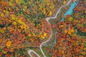 【秦岭觅秋|凤县·留坝·汉中】 10月25-28日 穿越秦岭 领略岭南诗意秋色 4日游