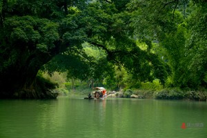 5月9号-17黄果树 梵净山或铜仁大峡谷 小七孔 织金洞+马岭河 万峰林+中国天眼+千户苗寨+镇远古城9日游1180元