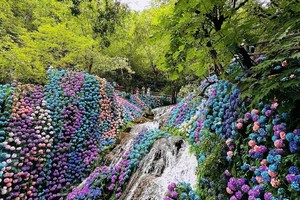 7.19-20栾川重渡沟.抱犊寨二日游268元