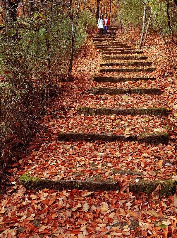 汉中勉县云雾山