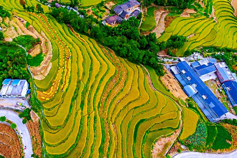 凤堰梯田 秋