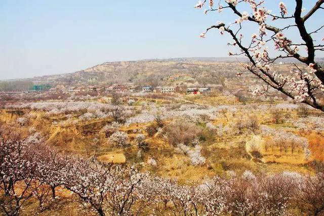 在西安 | 情人节后,带她寻花问柳才不辜负这个春天!