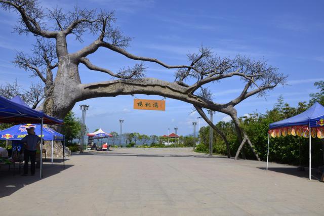 在西安 | 情人节后,带她寻花问柳才不辜负这个春天!