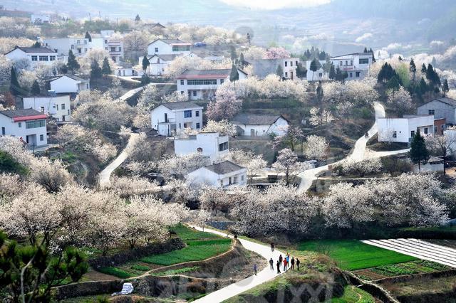 在西安 | 情人节后,带她寻花问柳才不辜负这个春天!