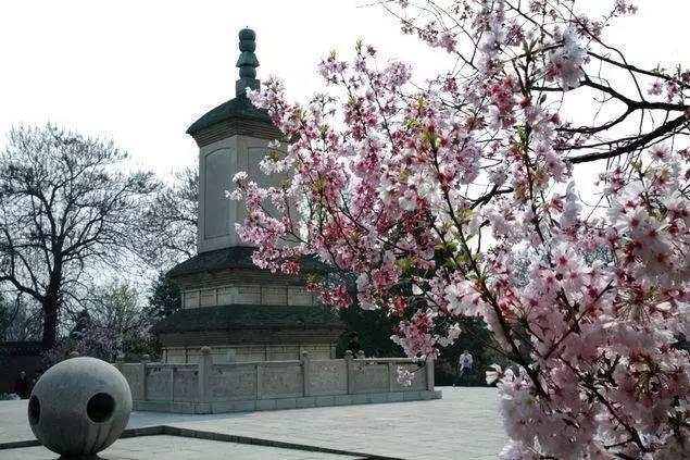 在西安 | 情人节后,带她寻花问柳才不辜负这个春天!