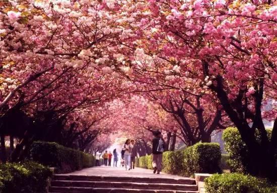 在西安 | 情人节后,带她寻花问柳才不辜负这个春天!