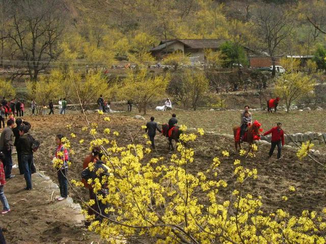 在西安 | 情人节后,带她寻花问柳才不辜负这个春天!