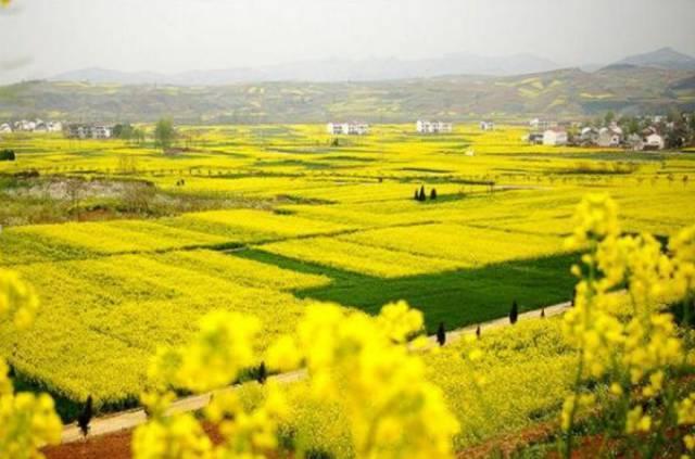 再过一个月，这里将成为西安最美的地方。。。