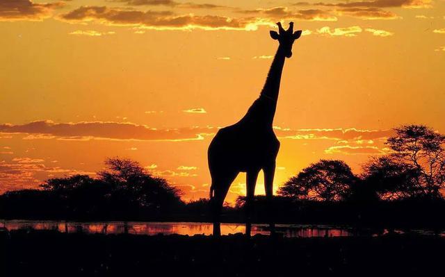 2016签证新规，出国旅游必备贴！