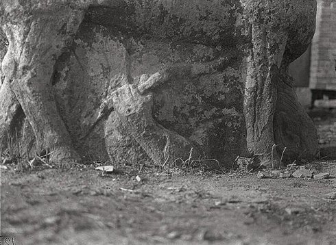 历史老照片之----1914年的陕西