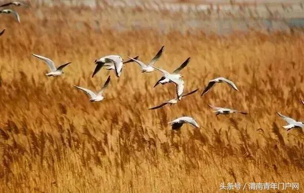 陕西的“1号公路”8月通车，串联4市12县50多处景点！