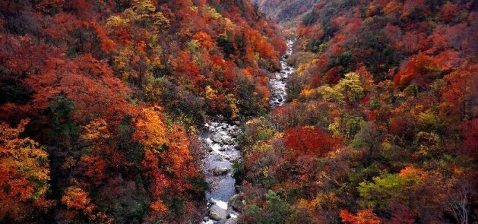 汉中勉县云雾山