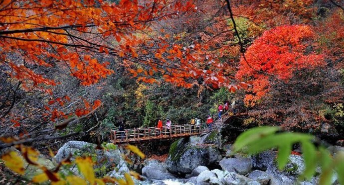 汉中勉县云雾山
