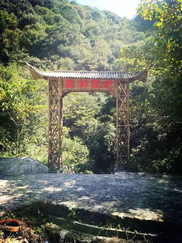 http://img.saihuitong.com/3319/img/118303/large/154bef546c0.jpg-w930