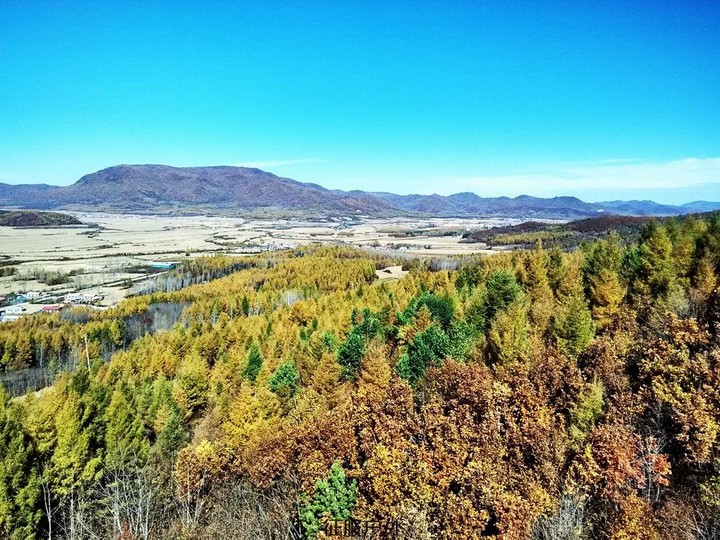 IMG_20151009_102738_HDR.jpg