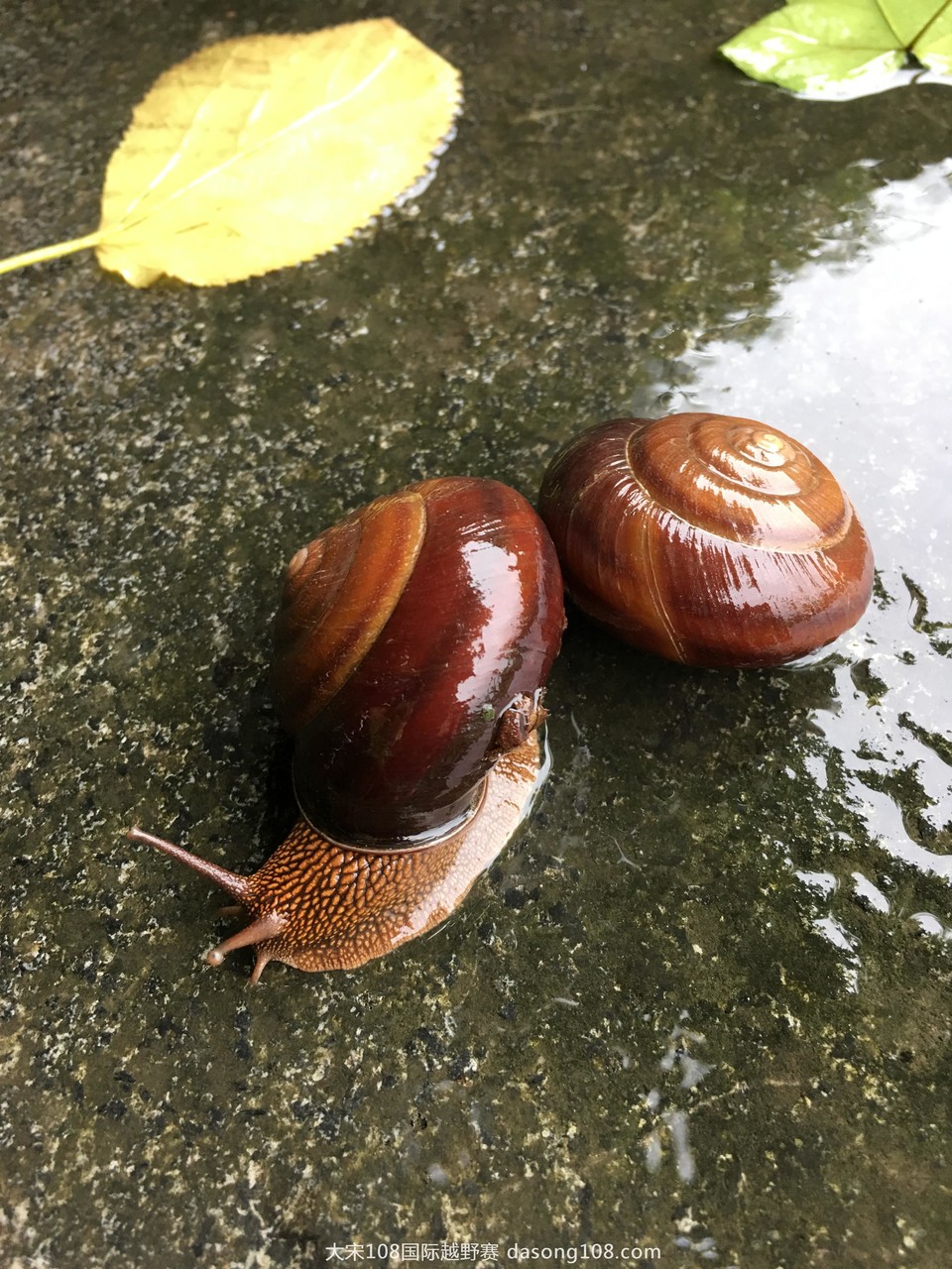 mmexport1466841018254