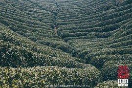 微信图片_20181213193920