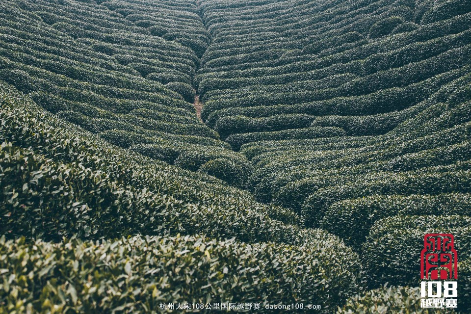 微信图片_20181213193920