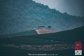 微信图片_20181213194018