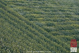 微信图片_20181213194028