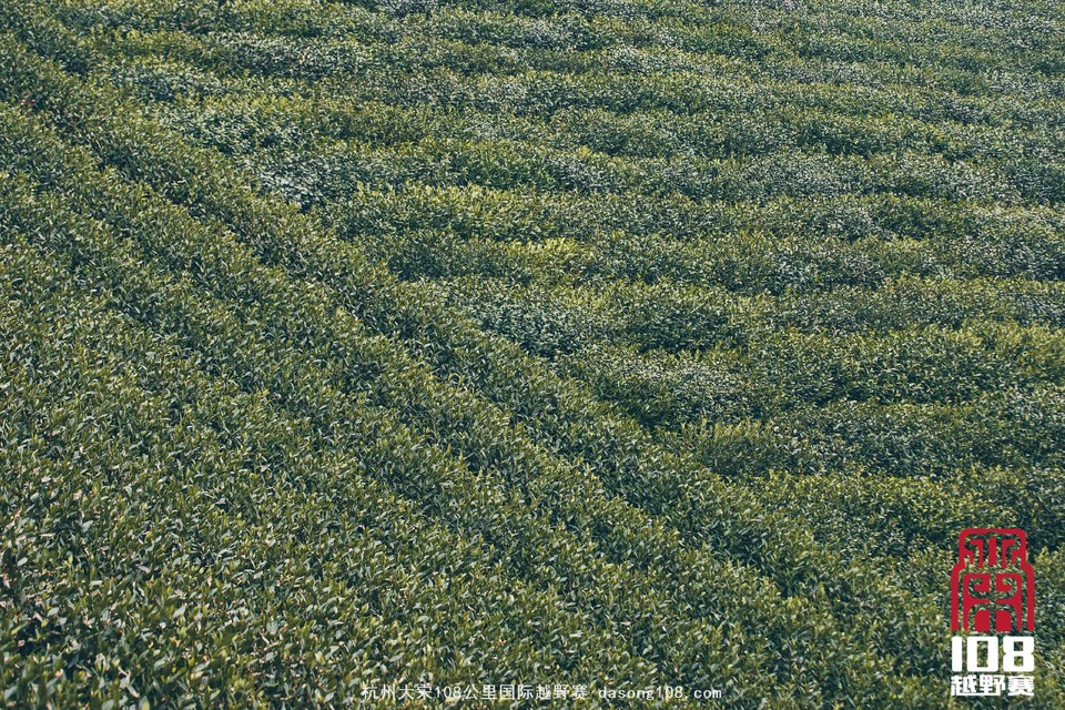 微信图片_20181213194028