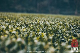 微信图片_20181213194033