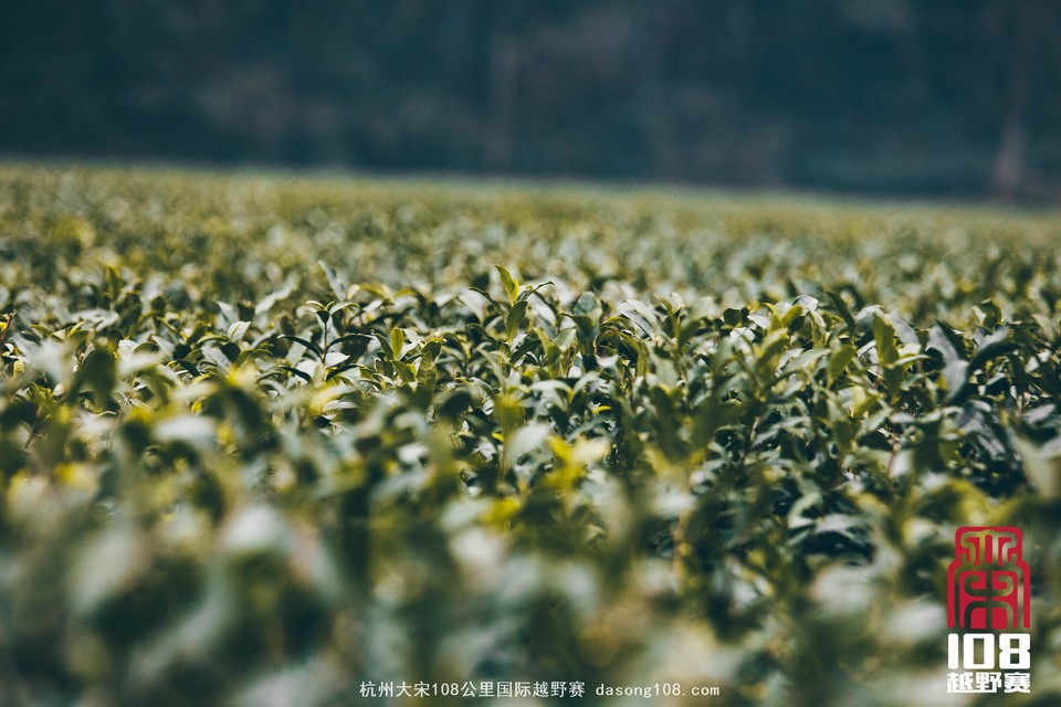 微信图片_20181213194033