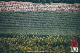 微信图片_20181213194042