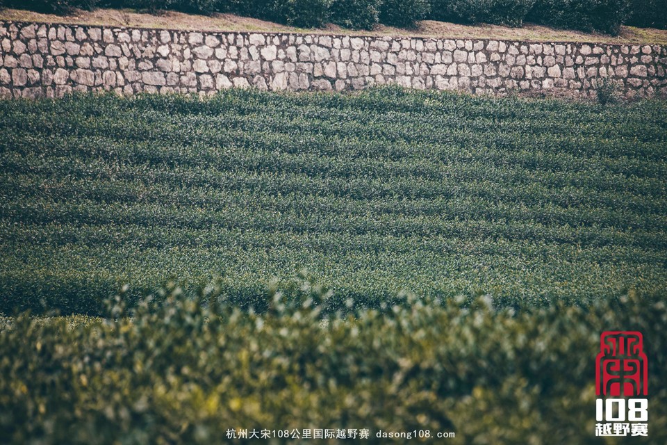 微信图片_20181213194042