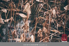 微信图片_20181213194101