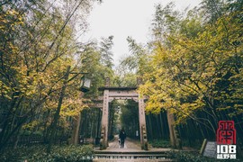 微信图片_20181213194120