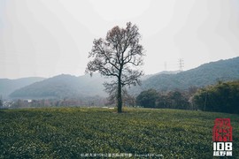 微信图片_20181213194126