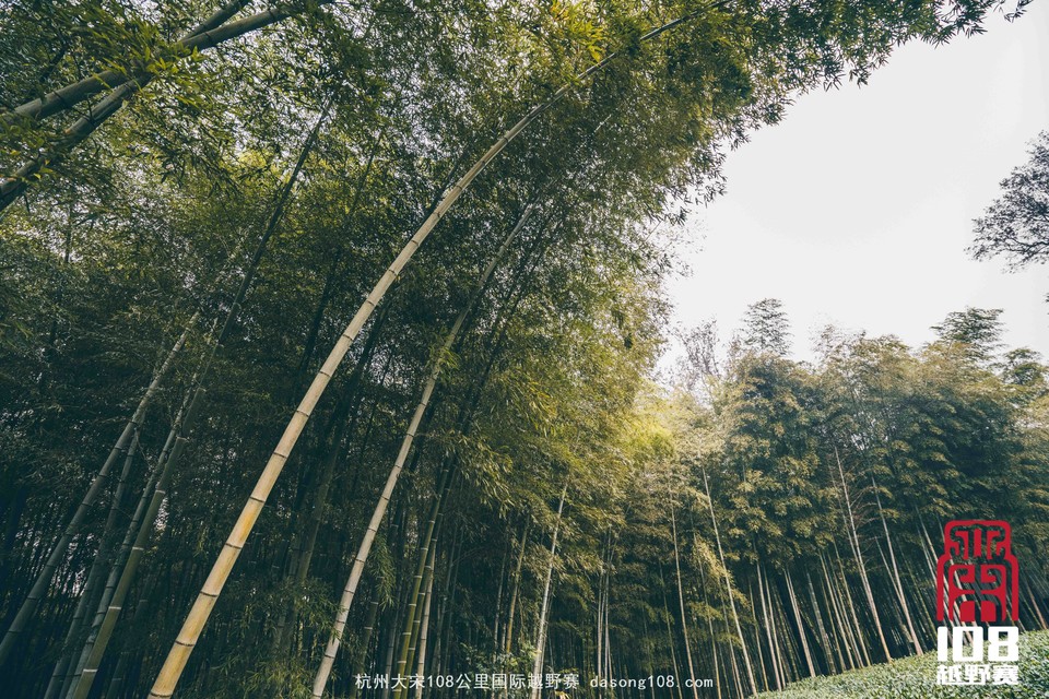 微信图片_20181213194148