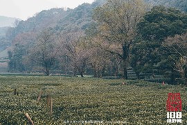 微信图片_20181213194212